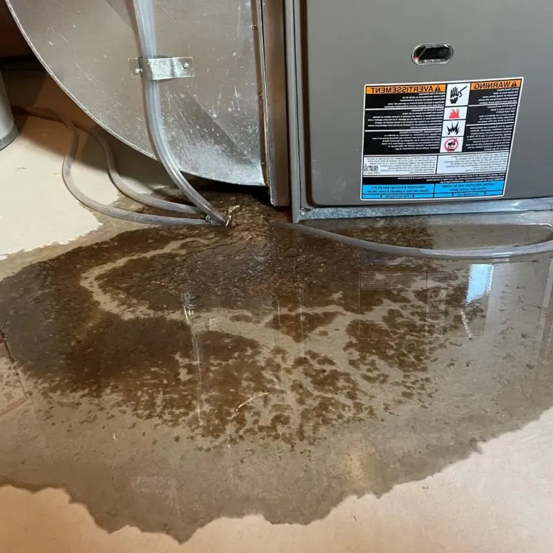Pipe Burst and Leak Restoration in Fort Thomas, KY
